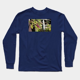 Berries on the Fence Long Sleeve T-Shirt